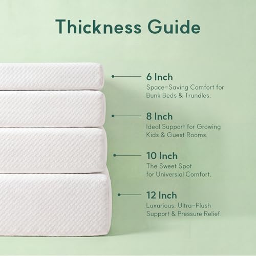 Queen Mattress, 10 Inch Queen  - Memory Foam Mattress In A Box Queen review and price
